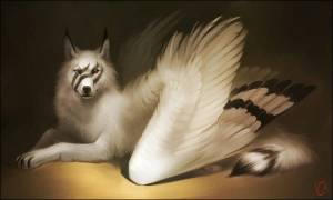 Раскраска волк с крыльями #11 #241154