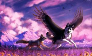 Раскраска волк с крыльями #13 #241156