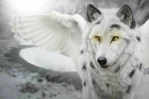 Раскраска волк с крыльями #21 #241164