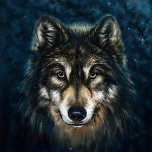 Раскраска волка морда #8 #241178