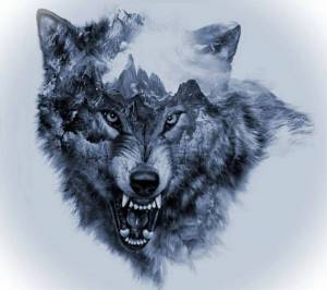 Раскраска волка морда #17 #241187