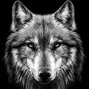 Раскраска волка морда #38 #241208
