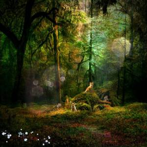 Раскраска волшебный лес #11 #241920