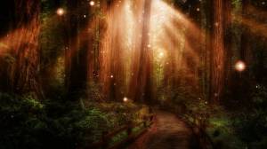 Раскраска волшебный лес #23 #241932
