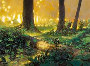 Раскраска волшебный лес #26 #241935