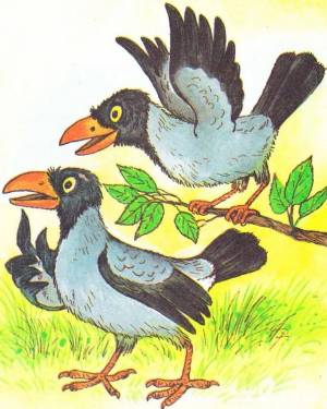 Раскраска ворона картинка для детей #10 #242618