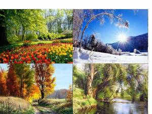 Раскраска времена года весна лето осень зима на одном листе #16 #243215
