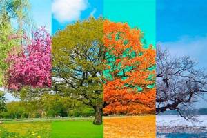 Раскраска времена года весна лето осень зима на одном листе #33 #243232