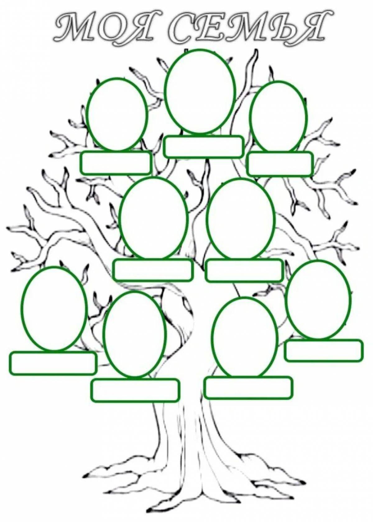 Семейное древо образец оформления