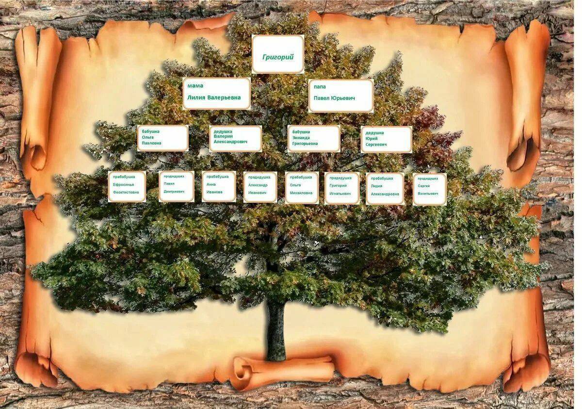 Как правильно составить генеалогическое древо