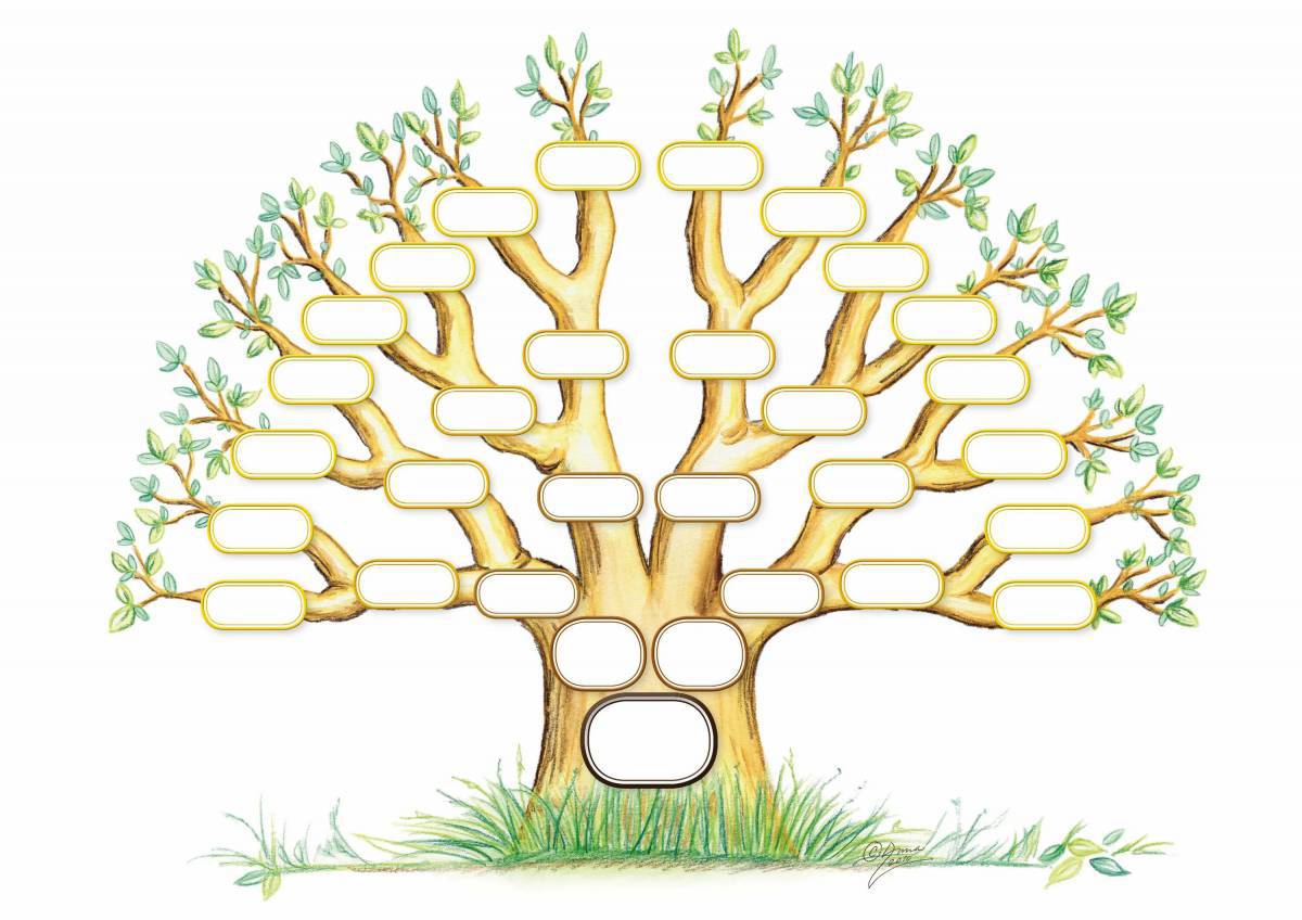 Генеалогическое дерево #9