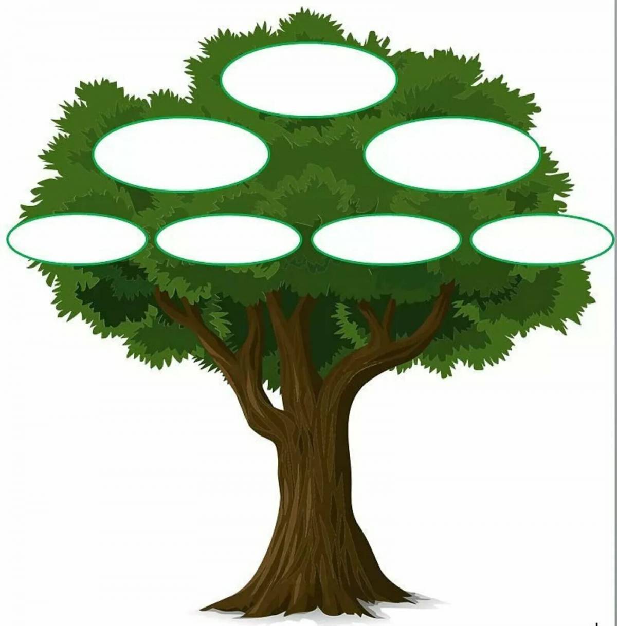 Генеалогическое дерево #13