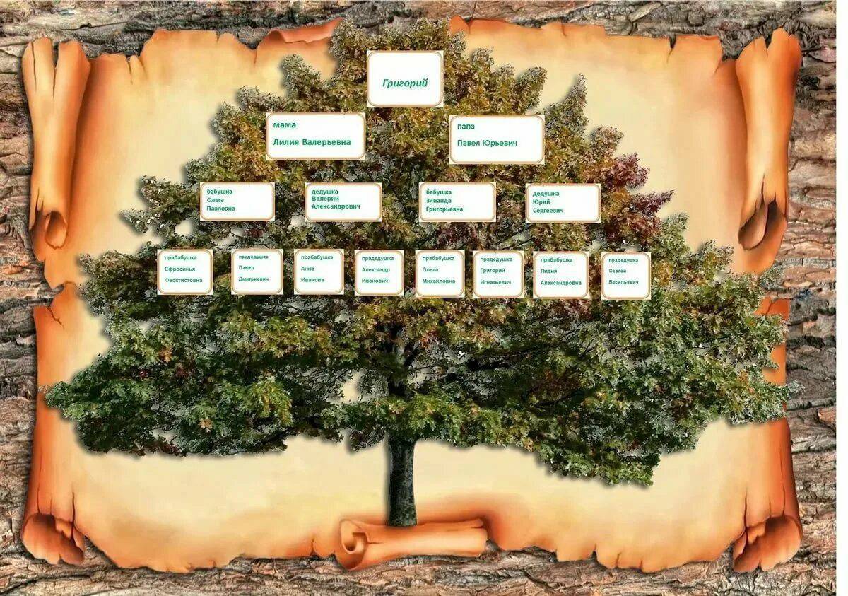 Генеалогическое дерево шаблон для заполнения #31