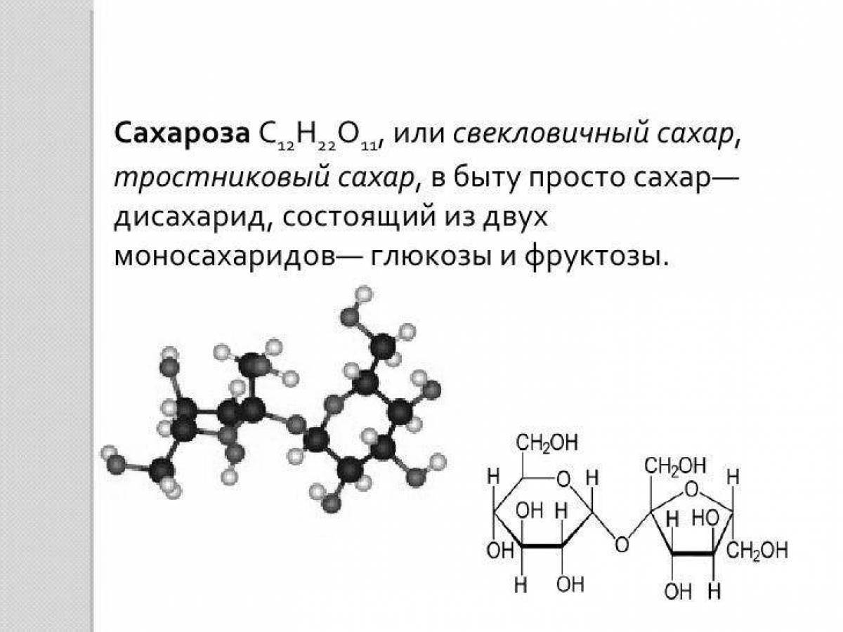 Геншин сахароза #1