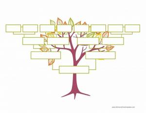 Раскраска генеалогическое дерево шаблон для заполнения #8 #247070