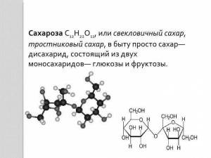 Раскраска геншин сахароза #1 #247611