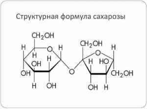 Раскраска геншин сахароза #14 #247624