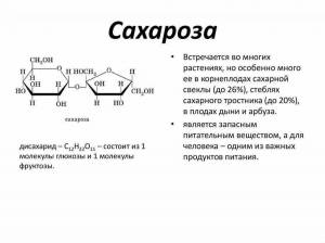 Раскраска геншин сахароза #18 #247628