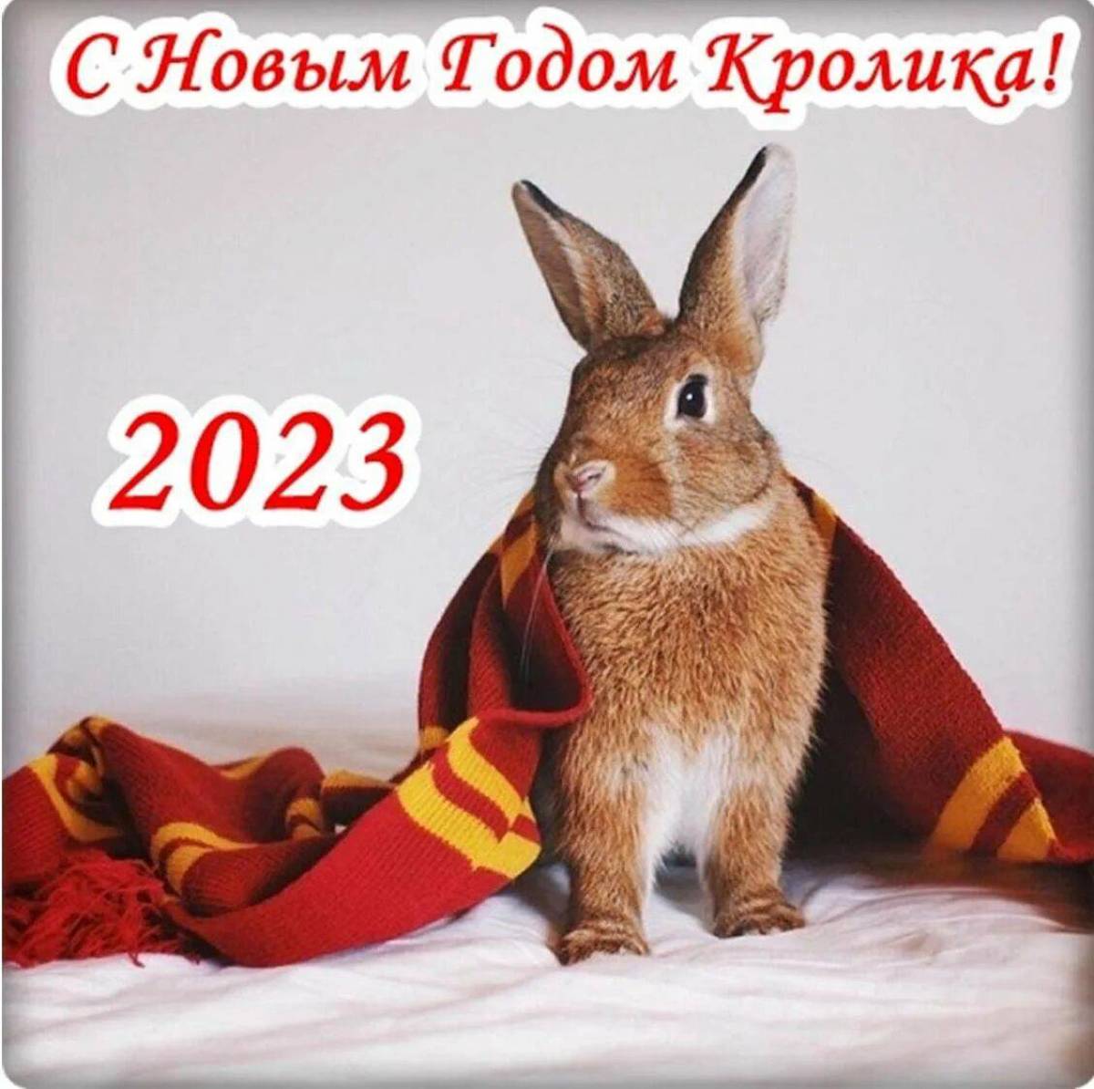 Поздравление новым 2023. С новым годом кролика 2023. С наступающим новым годом кролика 2023. Поздравление с новым годом кролика 2023 года. Поздравление с новым годом кролика.