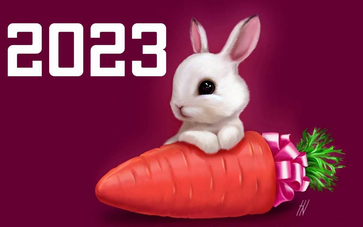 Год кролика 2023 #36