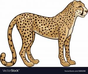 Раскраска гепард для детей #5 #248076