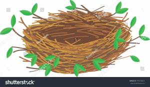 Раскраска гнездо для детей #5 #250787