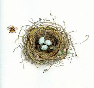 Раскраска гнездо для детей #8 #250790