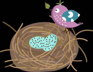 Раскраска гнездо для детей #9 #250791