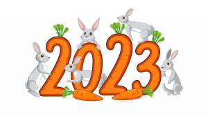 Раскраска год кролика 2023 #1 #251090
