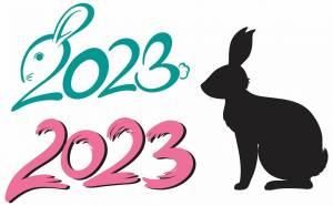 Раскраска год кролика 2023 #4 #251093