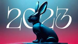 Раскраска год кролика 2023 #11 #251100