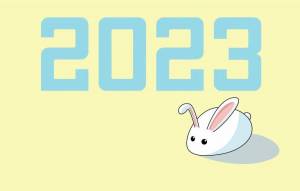 Раскраска год кролика 2023 #15 #251104