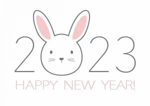Раскраска год кролика 2023 #19 #251108