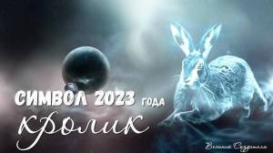 Раскраска год кролика 2023 #23 #251112