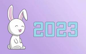 Раскраска год кролика 2023 #28 #251117