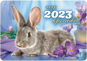 Раскраска год кролика 2023 #29 #251118