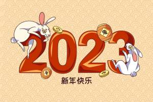 Раскраска год кролика 2023 #31 #251120
