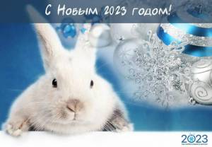 Раскраска год кролика 2023 #37 #251126