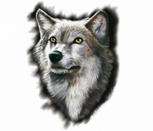 Раскраска голова волка #1 #251359