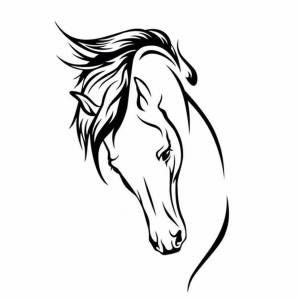 Раскраска голова лошади #9 #251625