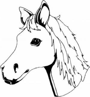 Раскраска голова лошади #10 #251626