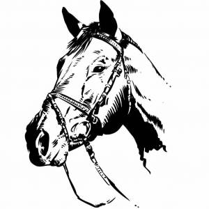 Раскраска голова лошади #16 #251632