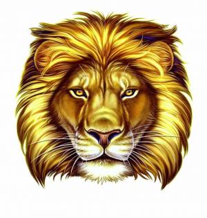 Раскраска голова льва #10 #251662