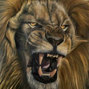 Раскраска голова льва #19 #251671