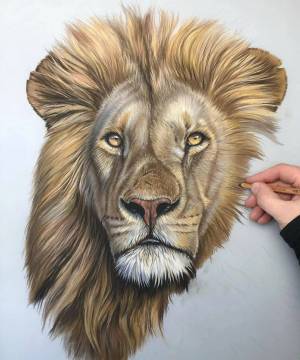 Раскраска голова льва #26 #251678