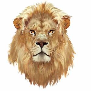 Раскраска голова льва #37 #251689
