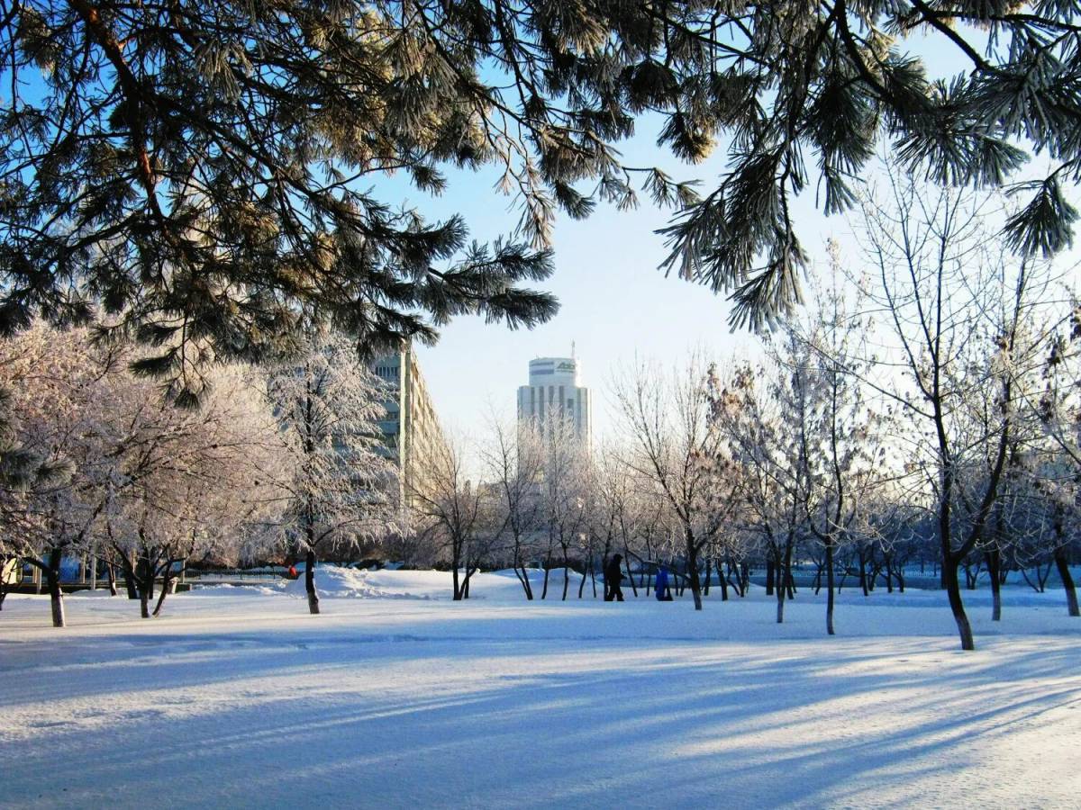 После 11 зима. Зима в городе. Город зимой. Зима Россия город. Зимний пейзаж город.