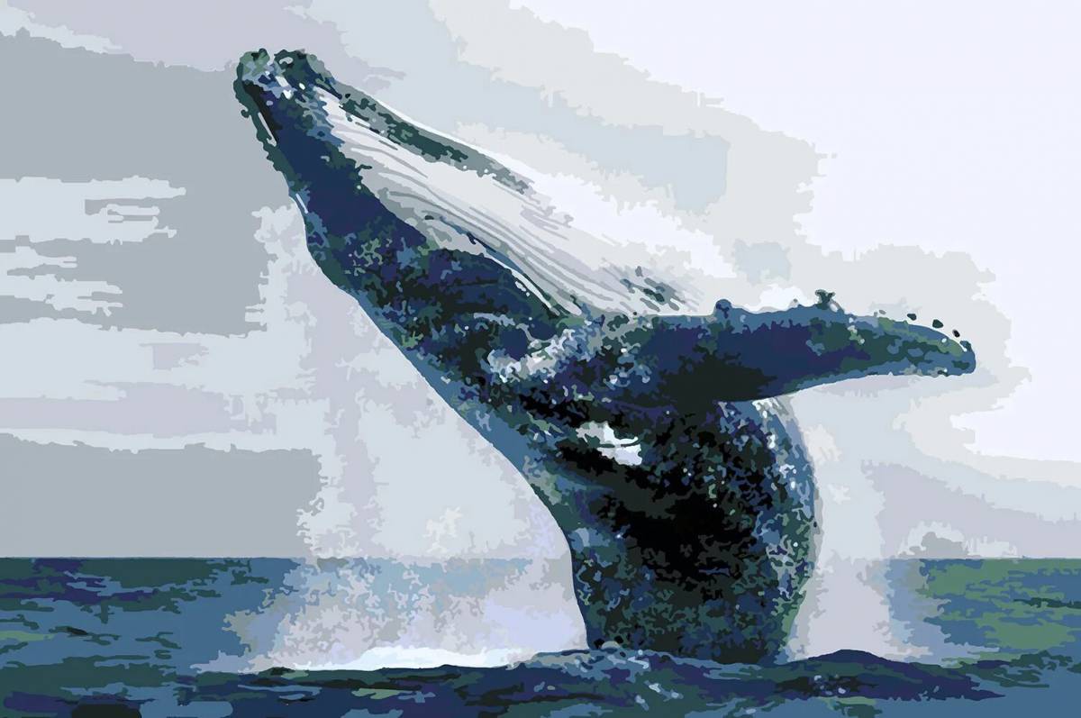 Горбатый кит #33