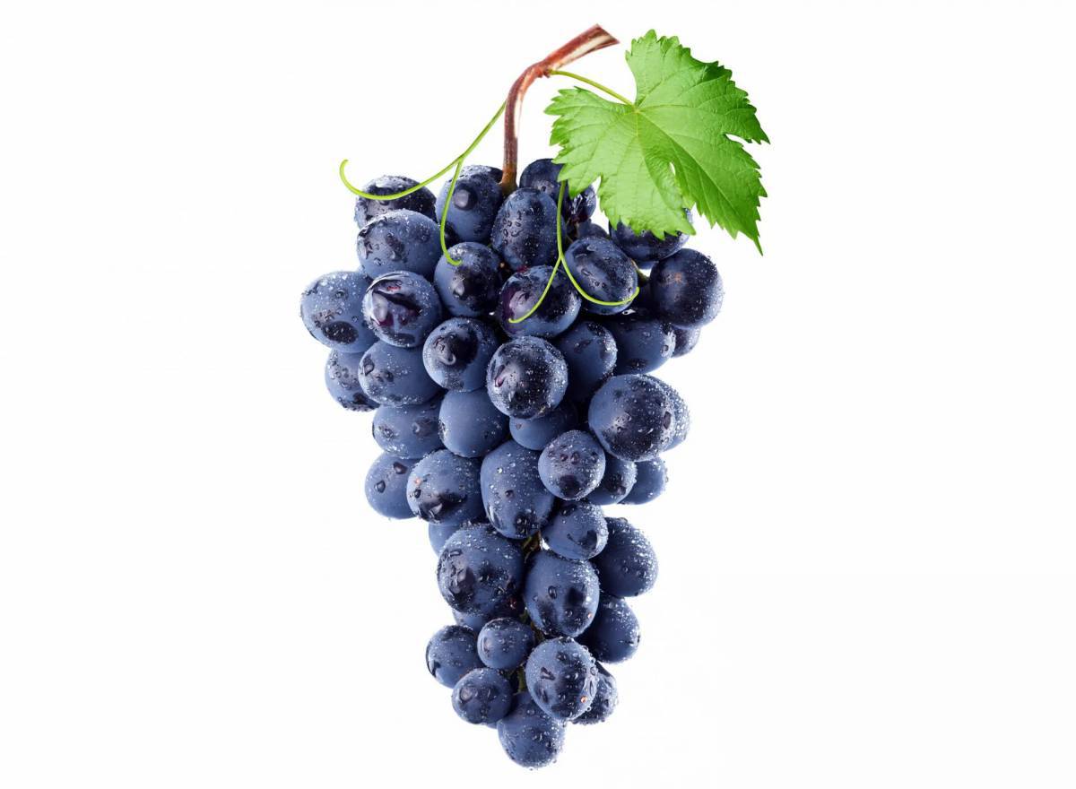 Гроздь винограда #1