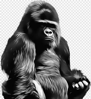 Раскраска горилла для детей #35 #252647